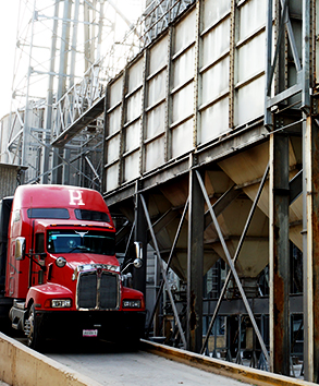Transporte