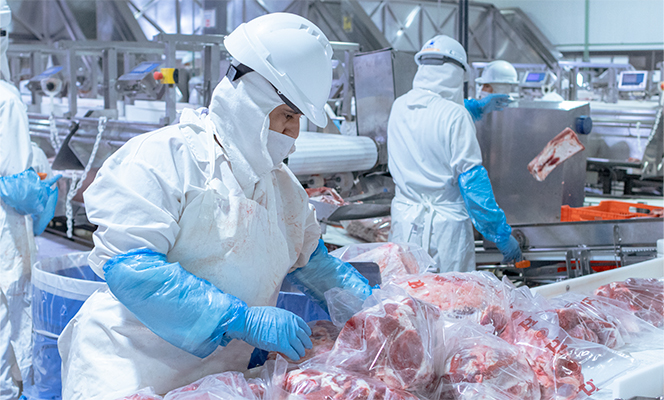 Empacadora de Carne: ¿Qué Debes Buscar Antes de Comprar al Mayoreo?